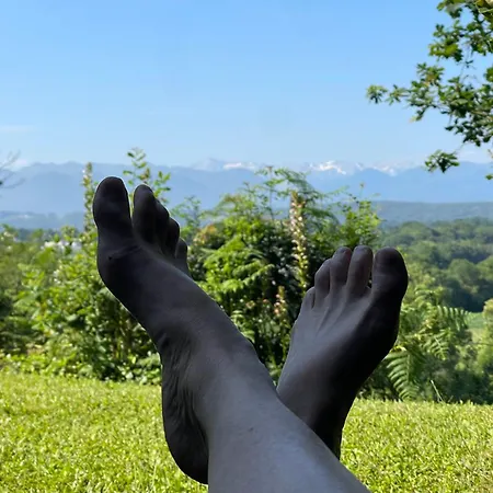 ヴィラ Indoor-outdoor With Panoramic Mountain Views Near Pyrenees Hikes & Atlantic Beaches